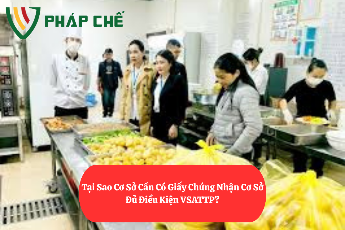 Vsattp Giấy Chứng Nhận Cơ Sở Đủ Điều Kiện VSATTP: Khẳng Định Chuẩn An Toàn ...