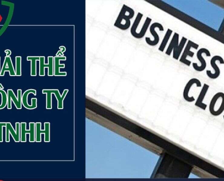 Giải Thể Công Ty TNHH 1 Thành Viên Theo Đúng Quy Định Pháp Luật 